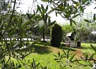 Grosser, umzäunter Garten