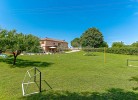 Fussballtore und Volleyballnetz im grünen Garten