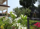 Garten mit Pool und Trampolin