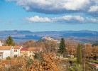 Blick auf Motovun