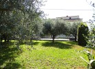 Grosser, umzäunter Garten