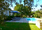 Pool und Liegewiese