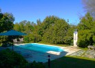Pool und Liegewiese