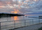 Novigrad
