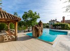 Toller, grosser Pool